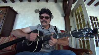 Jaime les filles JACQUES DUTRONC cover guitare [upl. by Leugim]