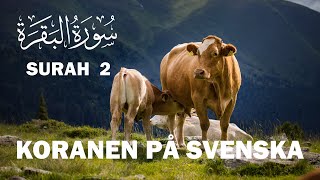 Svenska Koranen  Surah 2 alBaqarah Kon  Med svensk översättning koranenpåsvenska islamse [upl. by Brendis]