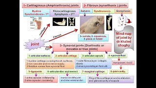 Arthrology by dr Khaled Shoghy [upl. by Ateuqahs]