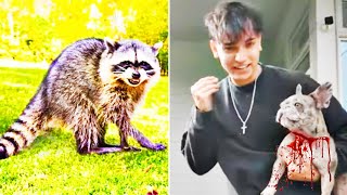 Lucas and Marcus  A Vicious Raccoon Bites My Girlfriend Dog  Ivanita Lomeli [upl. by Bessie]