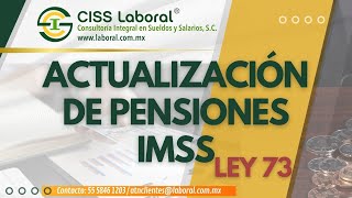 ¿Tu Pensión Está Actualizada Todo sobre las actualizaciones de las pensiones del IMSS Ley 1973 [upl. by Balcer]