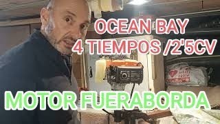 72 MANTENIMIENTO MOTOR FUERABORDA OCEAN 25 CV 4 TIEMPOS [upl. by Hilaire]