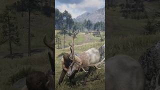 Caught a 12horned deer shortvideo reddeadredemtion2 shorts [upl. by Jule706]