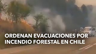 Ordenan evacuaciones por incendio forestal en Chile [upl. by Anallij]