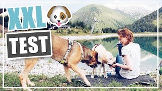 Neue HUNDE PRODUKTE von FRESSNAPF im LIVE TEST 🐶 XXL HAUL Dogs Creek Hundezubehör [upl. by Kenzie]