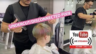 Undercut Pixie Haircut on LillyRose rosebud0508  Filmed Live Axis Hairdressing Canberra [upl. by Naida949]