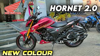 2024 Honda Hornet 20 new Colour and Specification [upl. by Elocel49]