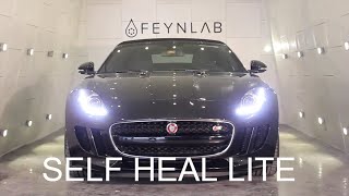 FEYNLAB Self Heal Lite Application  Detailing the Jaguar F Type [upl. by Gasper575]