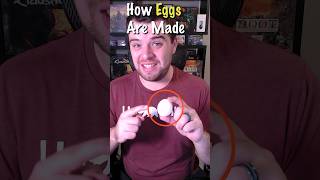 How Chickens Lay Eggs [upl. by Julee]