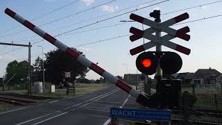 Spoorwegovergang Wijhe  Dutch Railroad Crossing [upl. by Arch211]