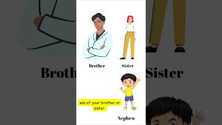 Difference between Nephew and Niece  Nephew vs Niece  vocabulary words English learn shorts [upl. by Ater]