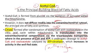 lec 15 part 1 fatty acid synthesis [upl. by Repsihw]