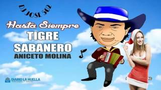 Aniceto Molina Mix 2017 Cumbias De Mi Pueblo [upl. by Cryan381]