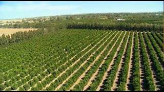 Riverina Agriculture Australia by Vince Bucello [upl. by Hijoung]