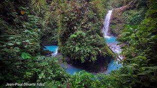 Blue Falls of Costa Rica  Compilation 2024 [upl. by Renae318]