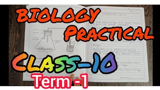 BIOLOGY PRACTICAL CLASS10 SAMPLE COPY 202122 CBSE  TERM 1 [upl. by Resay]