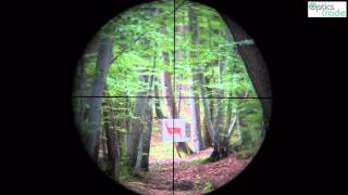 Vortex Diamondback 39x40 Reticle Vplex subtensions [upl. by Adal781]