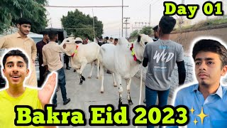 Bakra Eid 2023😍DAY 01✨ [upl. by Orel]