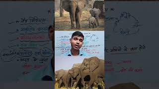 Importance of Elephant teeth elephant wildlifephotography geographyfacts trendingshorts shorts [upl. by Crofoot34]