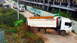 Starting a New project Dump truck 22ton Bulldozer Komatsu push Soil into landfill delete water [upl. by Eesdnil]