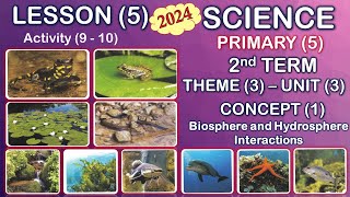 Science 2024 \ Primary 5 2nd term\ Unit 3 Concept 1 Lesson 5  Aquatic Ecosystems [upl. by Beaver]