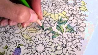 Colouring Secret Garden with Bruynzeel Super Sixties pencils [upl. by Harp595]