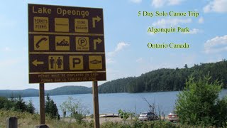 Algonquin Park  Opeongo East Arm  5 Day Solo Trip [upl. by Kathlin]