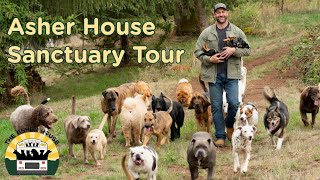 Full Asher House Tour A behind the scenes look at the sanctuary  The Asher House [upl. by Aronael]