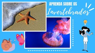 INVERTEBRADOS PRINCIPAIS FILOS CARACTERÍSTICAS E MAIS [upl. by Farrand]