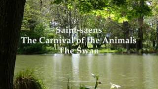 The Carnival of the Animals  The Swan [upl. by Nomead]