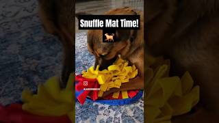 Snuffle Mats The Best Enrichment For Your Puppy [upl. by Yerak]