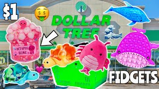 BEACH ONLY FIDGET SHOPPING CHALLENGE 😱🏝️🌊 NO BUDGET 1 SLIME amp FIDGETS SHOPPING SPREE [upl. by Hogle343]