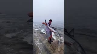 MAKO SHARK caught from shore makoshark shark sharkfishing sharks mako [upl. by Hajin]