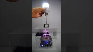 Tesla coil  glass box  hemar lighting bulb lightbulb teslacoil teslalovers [upl. by Danyluk]