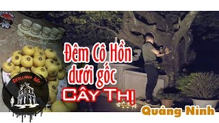 Đêm Cô Hồn Dưới Gốc Cây Thị ở Móng Cái Quảng Ninh Phần 2 [upl. by Dido]