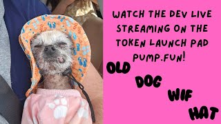 Live Streaming My First Token quotOld Dog Wif Hatquot On Pumpfun Tmeideawhale [upl. by Nera]