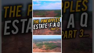 THE PINEAPPLES ESTATE All You Need To Know  MIX USE LAND FOR SALE IN IMOTA IKORODU — Part 3 [upl. by Aivad]