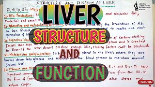 LiverStructure and function of liverBest and Easy lecture for Bmlt amp Dmlt StudentsHindi amp Urdu [upl. by Leavy466]