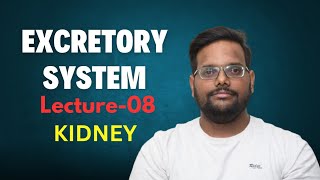 KIDNEY INTRODUCTION [upl. by Olpe]