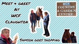 Samson the Suffolks meet amp greet WCF Claughton [upl. by Felisha]