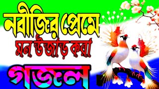 আল্লাহ নবী নুরের নবী গো আপনি নবী আমার জীবনের জিবনগজল Allahar nobinurar nobi go gojal2024 [upl. by Alfons]