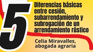 5 Diferencias básicas entre cesión subarrendamiento y subrogación de un arrendamiento rústico [upl. by Laeno]