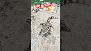 A CROCODILE CAUGHT WITH A FISHING ROD   Vietnam  crocodile fishing vietnam animals nature [upl. by Ecirbaf]