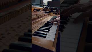 Felt piano on danish pianette [upl. by Cnahc]