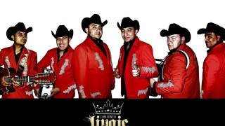 Conjunto Linaje Norteño  Provocame [upl. by Halas]