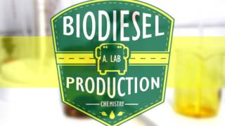 Biodiesel Production from Palm Oil ChemRus  Chemistry [upl. by Burkhart607]