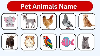 Pet Animals Name in English  Pet Animals Vocabulary  Mini English Education [upl. by Genvieve]