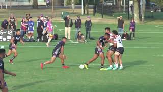 2019 Jersey Flegg Round 6 Highlights  Victoria Thunderbolts vs Sydney Roosters [upl. by Summer392]