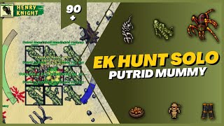 TIBIA EK HUNT SOLO 84 PUTRID MUMMY DARASHIA [upl. by Kciderf]