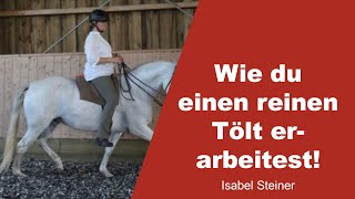 Wie du einen reinen Tölt erarbeitest  Isabel Steiner  1 [upl. by Odnomyar]